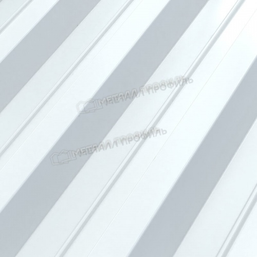 Профнастил Н-60x845-B (ПЭ-01-9010-0,7)