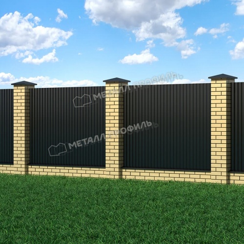 Профнастил МП-18x1100-B (VikingMP-01-9005-0,45)