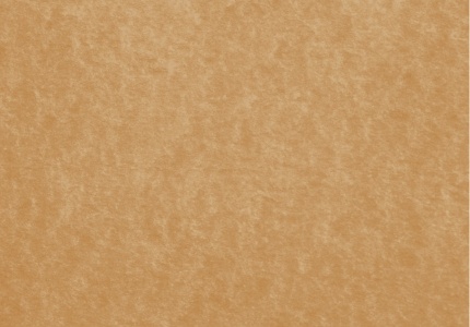 ИЗОСПАН FB отражающая пароизоляция для саун и бань