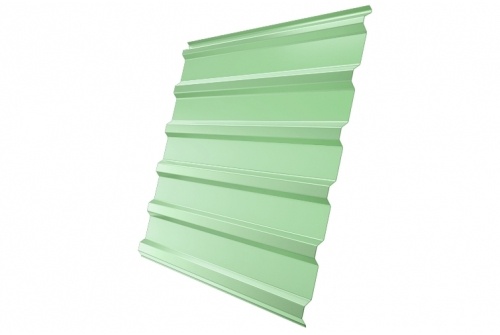 Профнастил С20R 0,45 PE RAL 6019 бело-зеленый