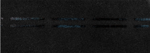 Коньково-карнизная черепица Eurasia