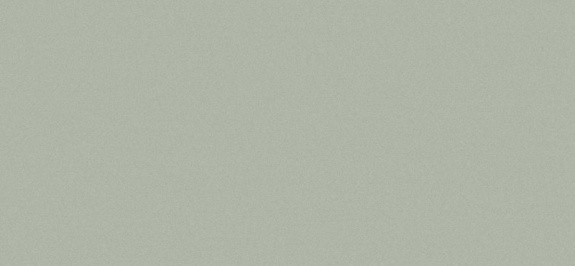 Сайдинг CEDRAL smooth (гладкий) С06