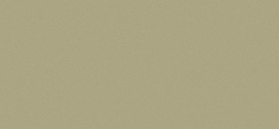 Сайдинг CEDRAL smooth (гладкий) С57