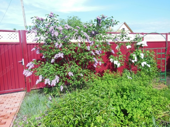 Крышка универсальная RAL 3005