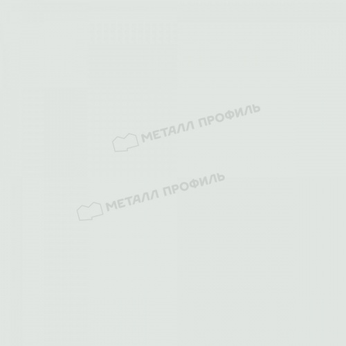 Профнастил МП-20x1100-B RETAIL (ПЭ-01-9003-СТ)