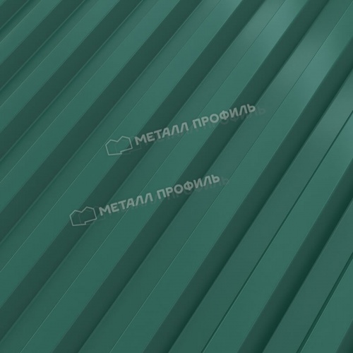 Профнастил С-21x1000-A (ПЭ-01-6005-0,65)