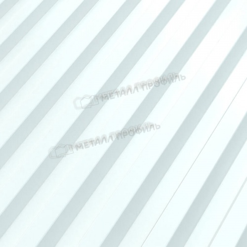 Профнастил С-21x1000-B (ПЭ-01-9003-0,4)