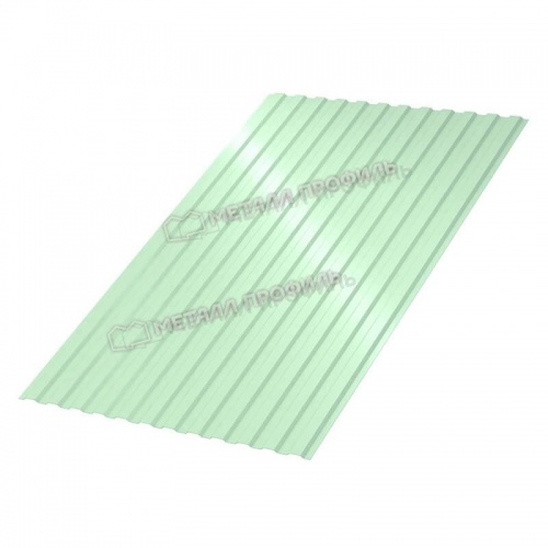 Профнастил С-21x1000-A (ПЭ-01-6019-0,45)