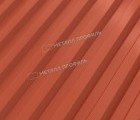 Профнастил С-21x1000-A NormanMP (ПЭ-01-8004-0,5)