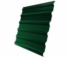 Профнастил С20R 0,45 PE-Double RAL 6005 зеленый мох
