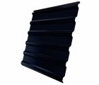 Профнастил С20R 0,45 PE-Double RAL 9005 черный