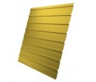 Профнастил С10A 0,45 PE с пленкой RAL 1018 желтый цинк