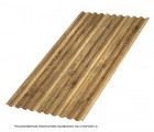 Профнастил С-21x1000-A (ECOSTEEL_T-01-ЗолотойДуб-0,5)