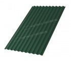 Профнастил С-21x1000-B (VikingMP E-20-6005-0,5)