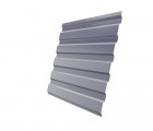 Профнастил С20А 0,45 PE с пленкой RAL 7004 сигнальный серый