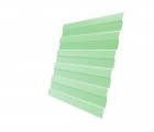 Профнастил С8А 0,45 PE RAL 6019