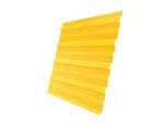 Профнастил С10A 0,45 PE RAL 1018